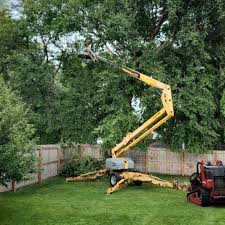 Best Tree Disease Treatment  in Fellsburg, PA